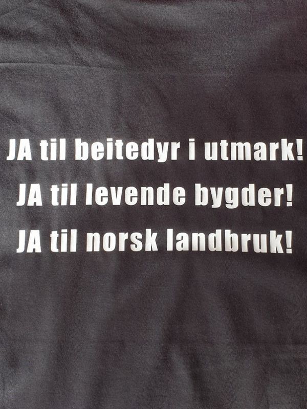 T-skjorte: En hyllest til bia!