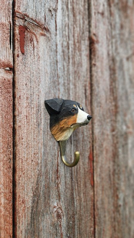 Krok Australsk gjeterhund